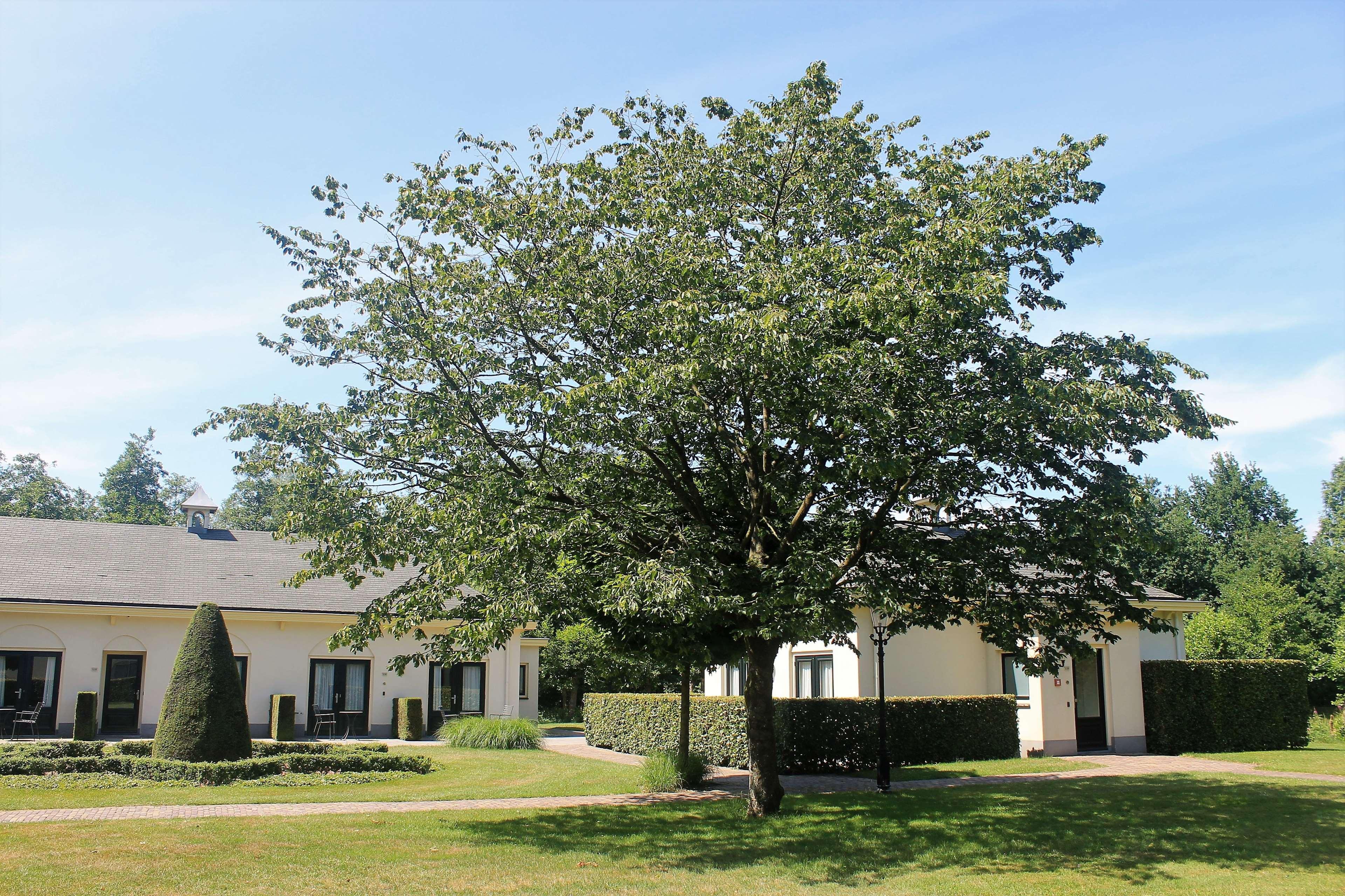 Kasteel De Vanenburg Putten Zewnętrze zdjęcie